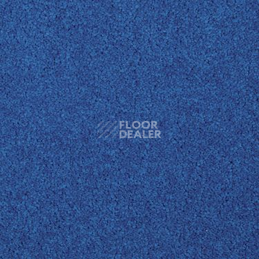 Ковровая плитка Modulyss Cambridge Xtra 50 f фото 1 | FLOORDEALER